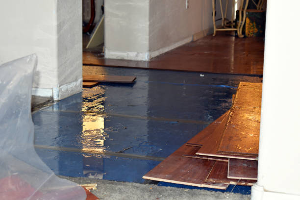 Professional Water Extraction technician working in Grayling, MI